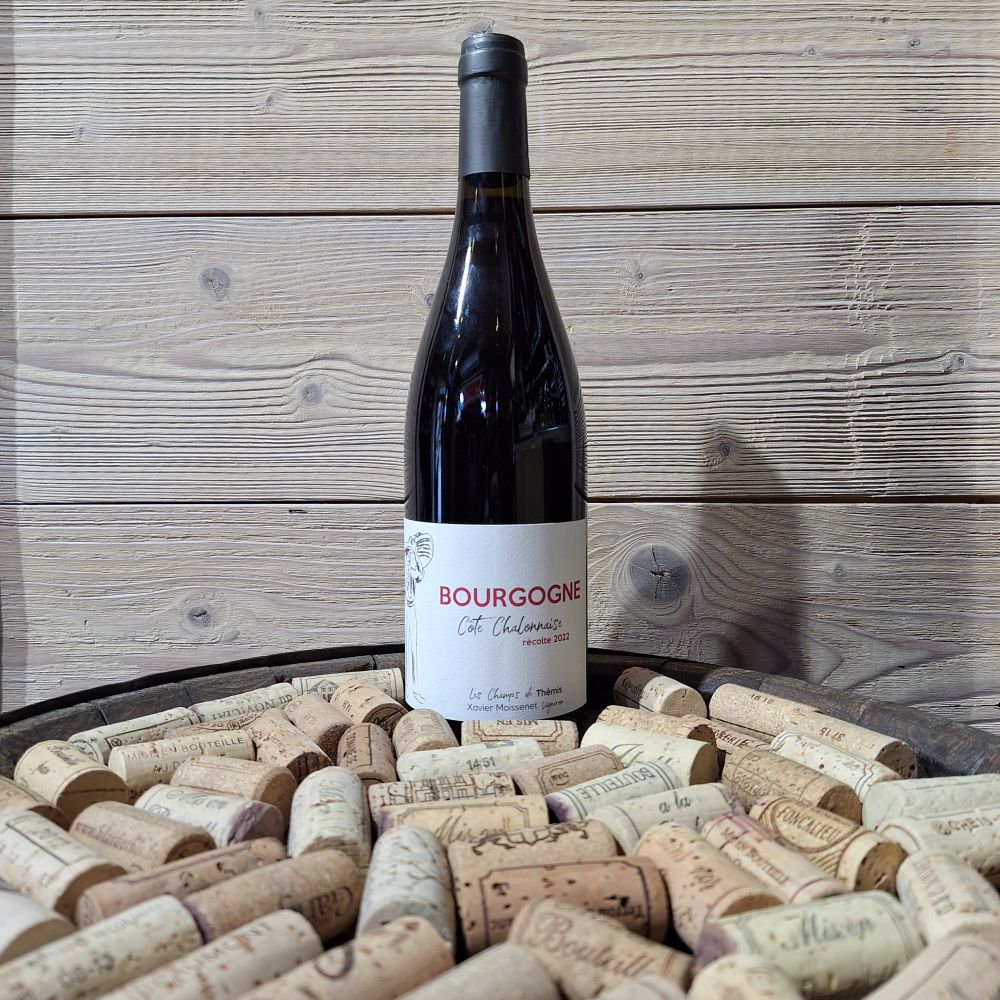 Cote Chalonaise Champs de Themis 2023 75cl