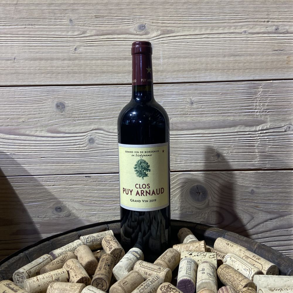Castillon Clos Puy Arnaud 2019