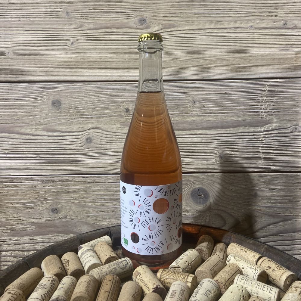 Tête en l'R Domaine des Rutissons 2023 75cl Bio Bio