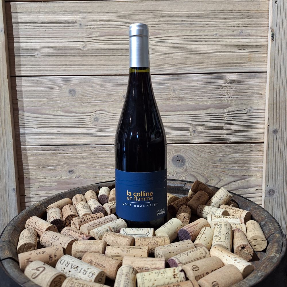 Colline en flamme Domaine des Pothiers 2024 75cl