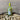 Il Beneduce Limoncello 70cl
