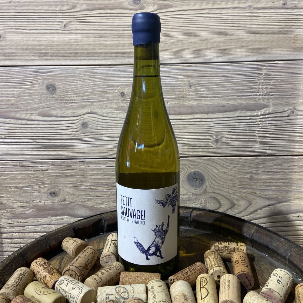 Petit Sauvage Blanc 2024 75cl