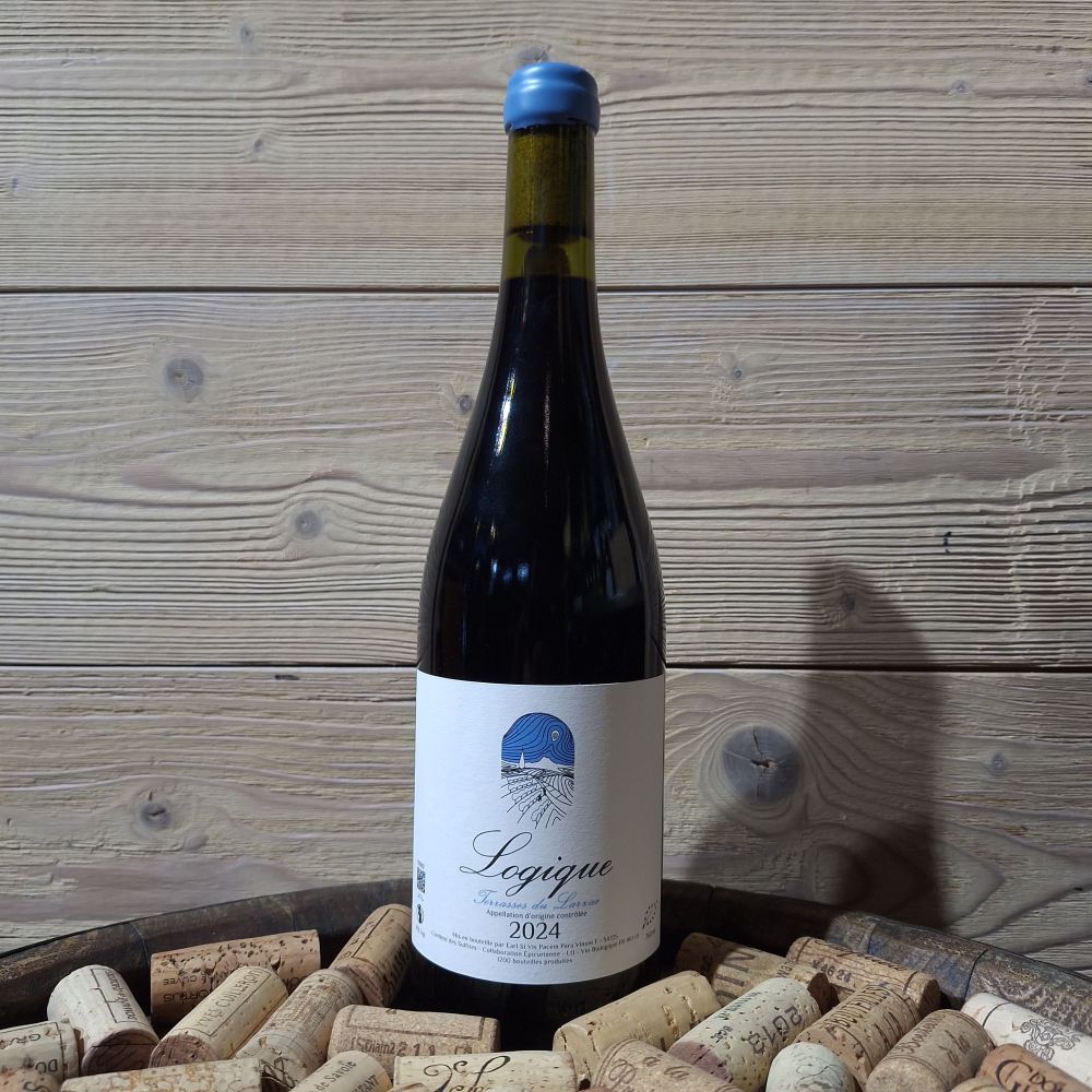 Domaine Epigone Logique 2024 75cl Bio