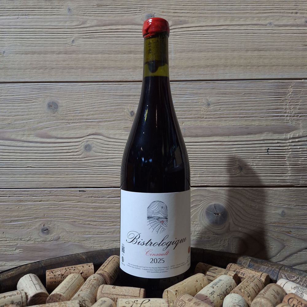 Domaine Epigone Bistrot 2025 75cl Bio