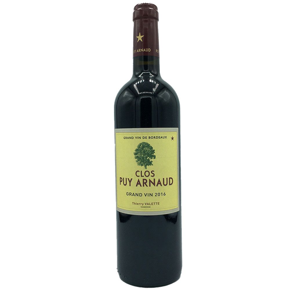 Castillon Clos Puy Arnaud Rouge 2017