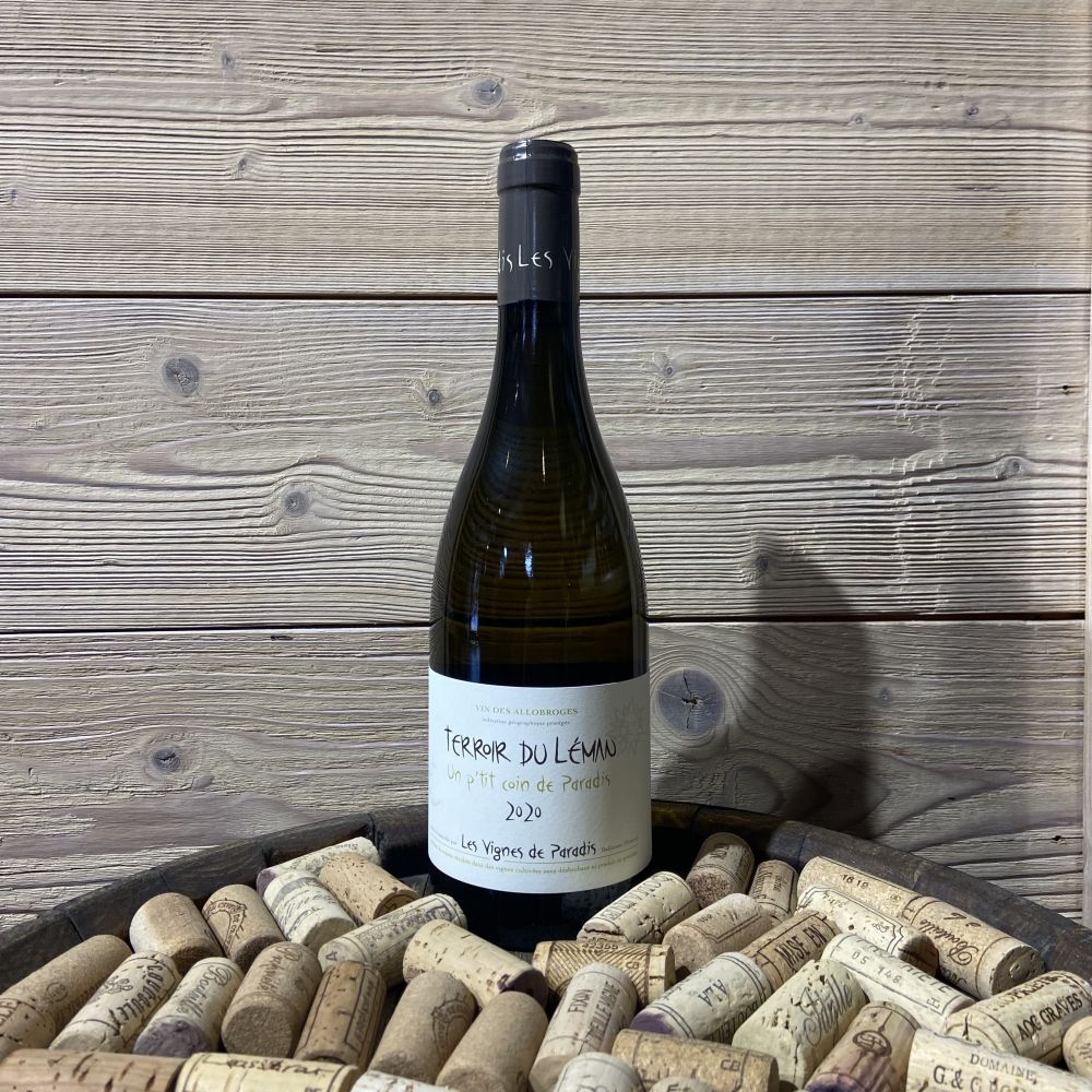 Ptit coin de Paradis Dominique Lucas Blanc 2022