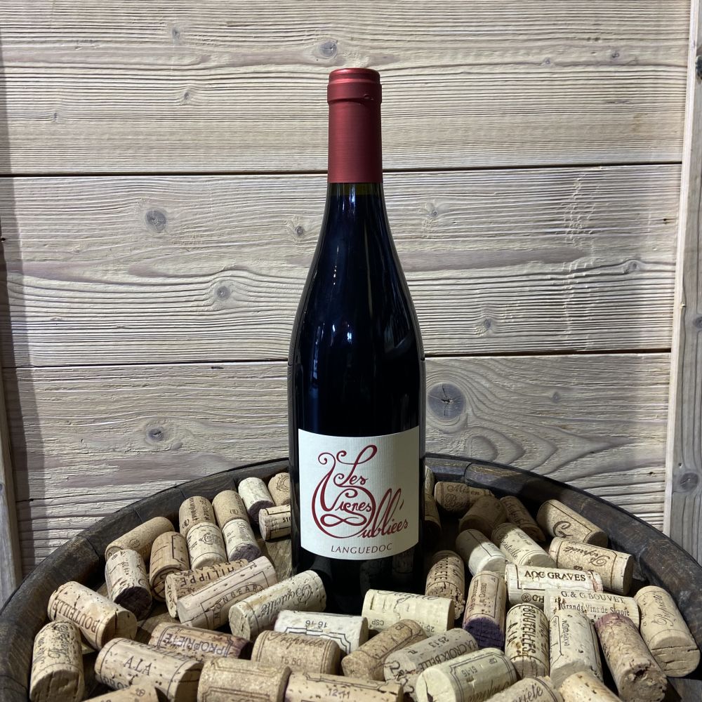 "Autour du Cinsault" Les Vignes Oubliées Jullien et Granier Rouge 2024