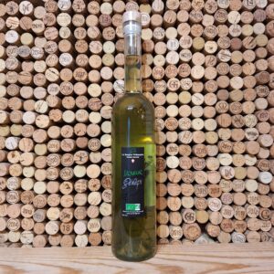 Genepi Sanglier Philosophe