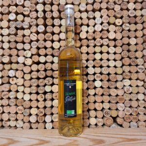 Gentiane Sanglier Philosophe