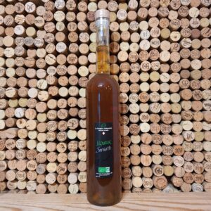 Sapinette Sanglier Philosophe